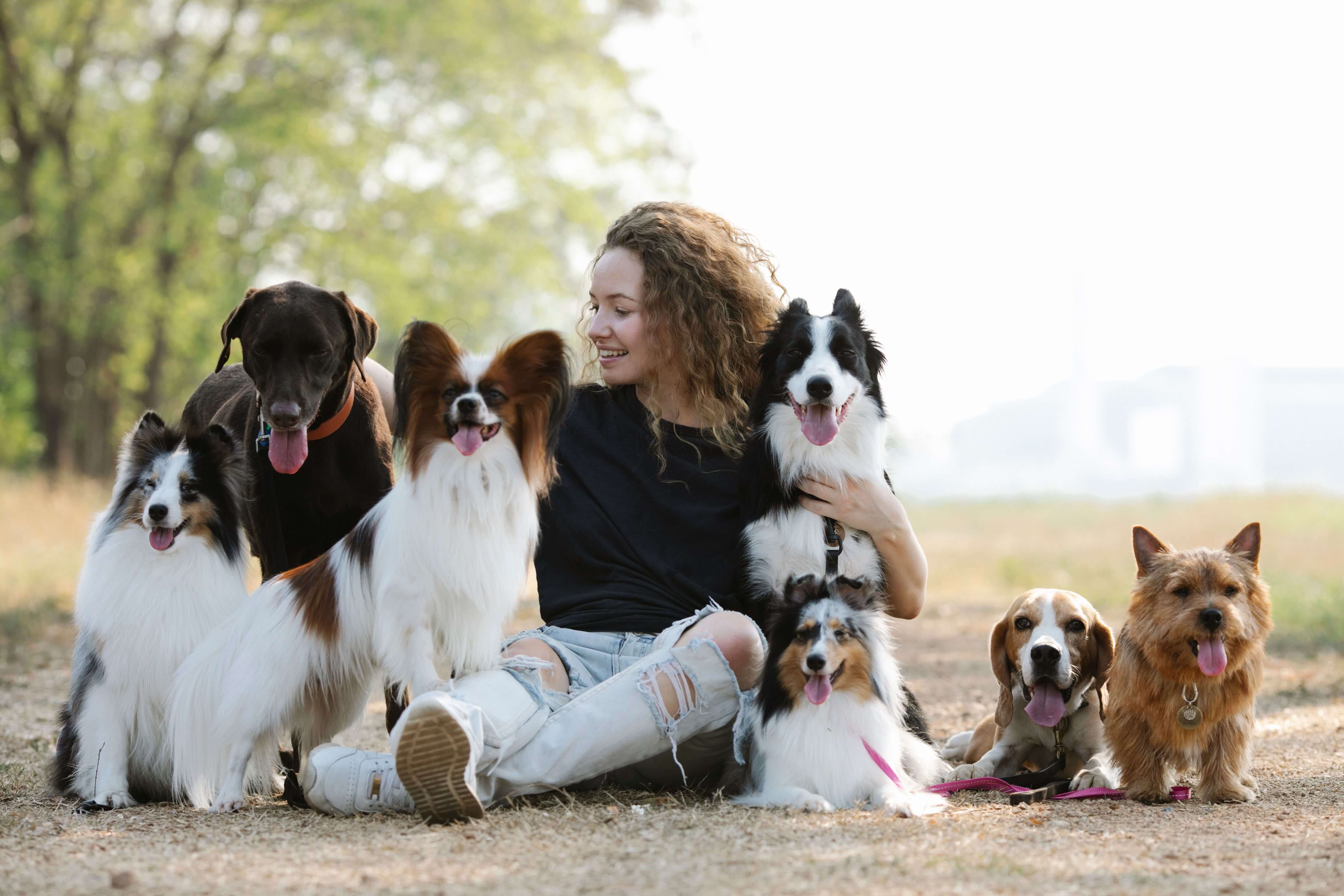 Cute dog with healthy pet treats